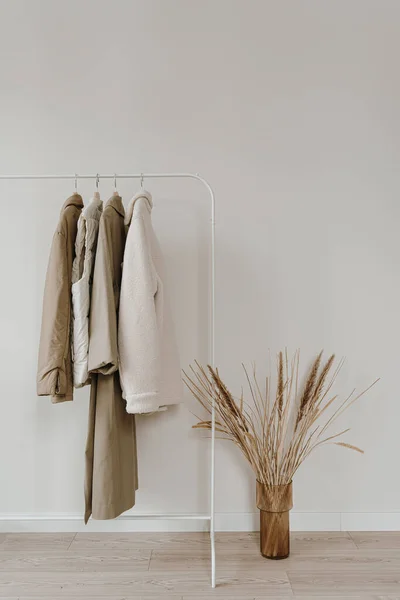 Aesthetic minimalist neutral pastel beige colour wardrobe interior with dried pampas grass. Warm autumn outerwear on hanger over white wall. Fashion clothes