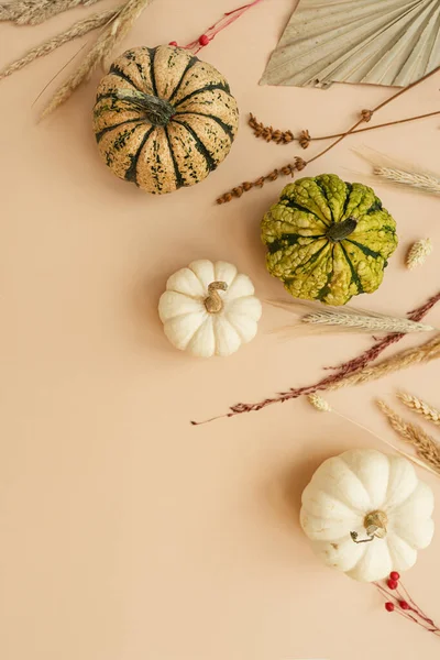 Piccole Zucche Decorative Erba Secca Autunno Autunno Ringraziamento Halloween Concetto — Foto Stock