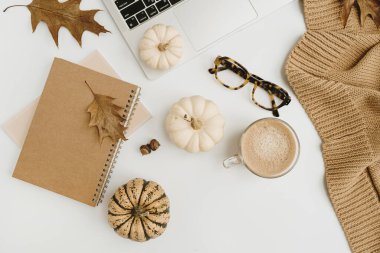 Düz yerde kadınların çalışma masası vardı. Dizüstü bilgisayar, balkabakları, bardaklar, kuru yapraklar, sütlü kahve. Sonbahar sonbaharı renksiz kompozisyonu