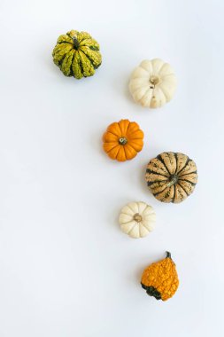 Beyaz arka planda küçük dekoratif balkabakları. Sonbahar, sonbahar, Şükran Günü ya da Cadılar Bayramı konsepti. Düz konum, üst görünüm, kopyalama alanı