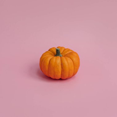 Pastel pembe arka planda güzel dekoratif balkabağı. Sonbahar mevsimi konsepti