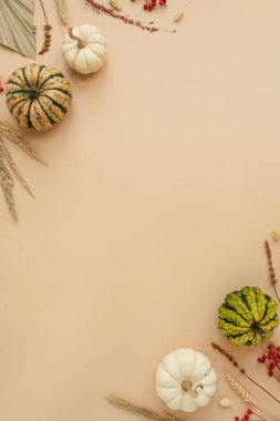 Dekoratif balkabaklarından ve kuru otlardan yapılmış çerçeveler. Sonbahar sonbahar sezonu konsepti ve taklit alanı. Düz yatış, üst görünüm