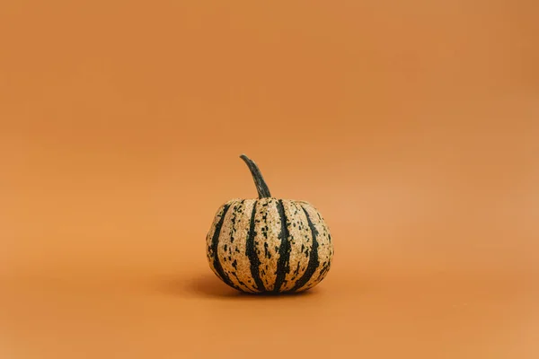 Prachtige Decoratieve Pompoen Gember Oranje Achtergrond Herfstherfstseizoen Concept — Stockfoto
