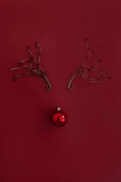 圣诞鹿角红色背景的灌木球和浆果枝的顶部视图 平躺在地上 俯瞰四周 — 图库照片