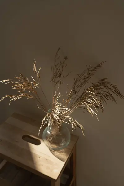 Aesthetic bouquet with dried grass stems in glass vase. Elegant home interior decoration detail. Sunlight shadows
