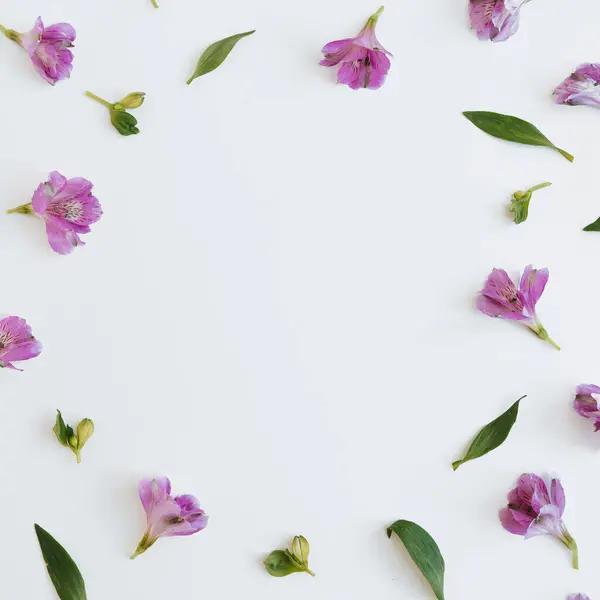 Frame of purple flowers, leaves and petals on white background. Flat lay, top view