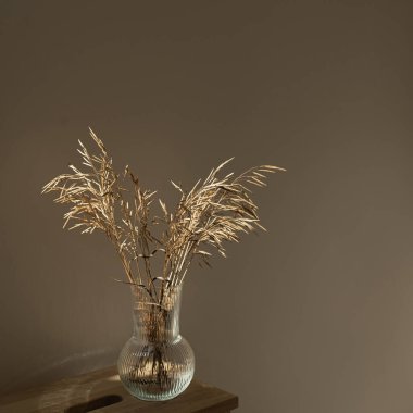 Koyu duvara karşı ahşap sehpanın üzerinde cam vazoda kurumuş çimen buketi. Estetik minimalist ev oturma odası iç dekorasyon detayları. Şık lüks apartman dekorasyonu.