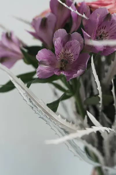 Szekrény Lila Virágok Fehér Háttér — Stock Fotó
