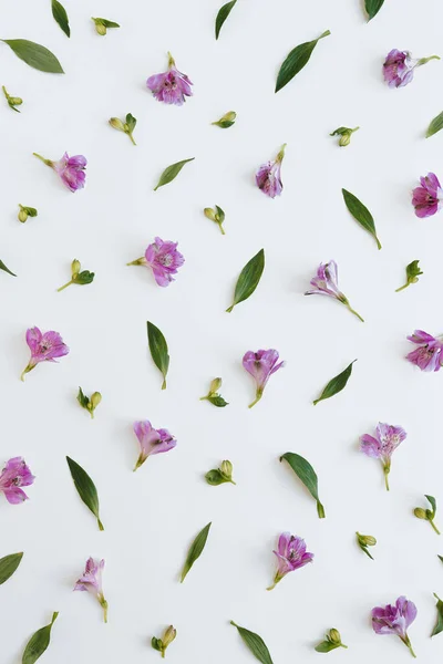 Floral pattern made of purple flowers, green leaves on white background. Flat lay, top view. Valentine\'s background