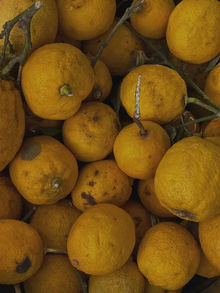 Aesthetic Raw Lemon Fruits Juicy Citrus Pattern — Stock Photo, Image