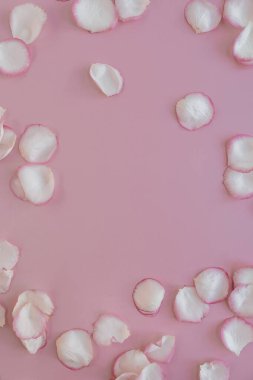 Minimum estetik çiçek çerçevesi. Soluk pembe arka planda gül yaprakları. Yaratıcı Sevgililer Günü geçmişi. Boşluğu kopyala, düz yat, üst görünüm