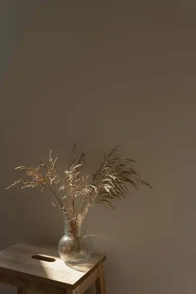 Dried grass stems bouquet in glass vase. Aesthetic shadows on the wall. Silhouette in sun light. Minimal interior decoration concept