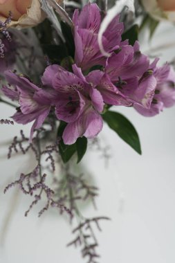 Beyaz arkaplanda mor çiçeklerin yakın plan görüntüsü