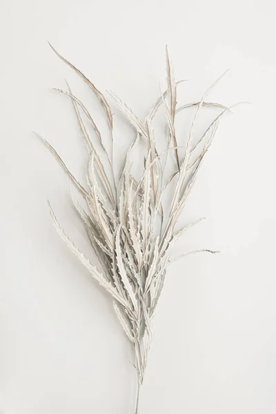 Όμορφο Φόντο Ουδέτερα Λευκά Φύλλα Μπουκέτο Ελάχιστη Κομψή Φλοράλ Έννοια — Φωτογραφία Αρχείου