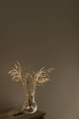 Koyu duvara karşı ahşap sehpanın üzerinde cam vazoda kurumuş çimen buketi. Estetik minimalist ev oturma odası iç dekorasyon detayları. Şık lüks apartman dekorasyonu.