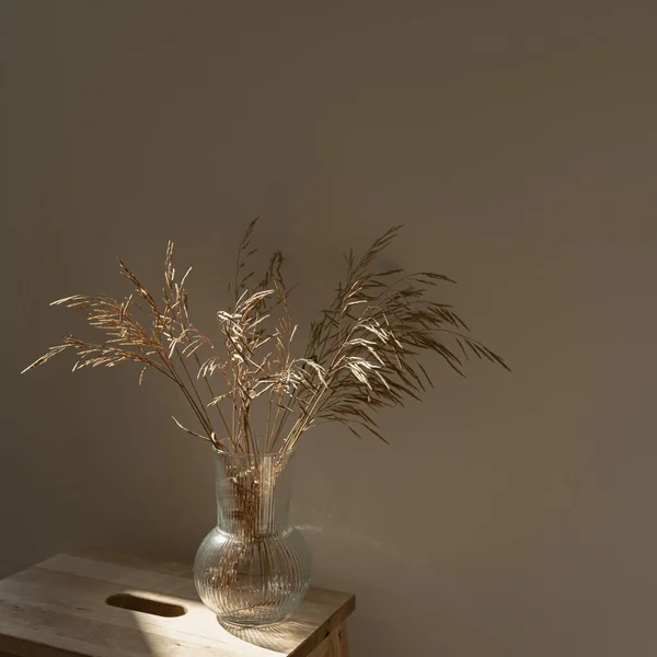 Dried grass stems bouquet in glass vase. Aesthetic shadows on the wall. Silhouette in sun light. Minimal interior decoration concept