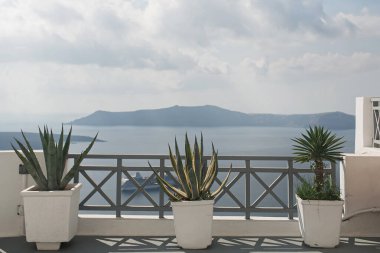 Santorini, Oia, Yunanistan 'da deniz manzarası. Beyaz kaplarda kaktüs bitkileri