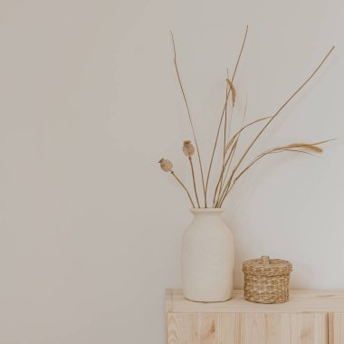 Parlak şık modern oturma odası iç tasarım konsepti. Kurumuş çimenler, kil çömlek içinde haşhaş, beyaz duvarda rattan tabut. Estetik nötr bej iç dekorasyon ayrıntıları