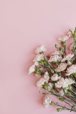 Pastel pembe arka planda pembe karanfilli çiçek buketi. Fotokopi alanı olan minimalist çiçek kompozisyonu. Sevgililer Günü, Anneler Günü konsepti.