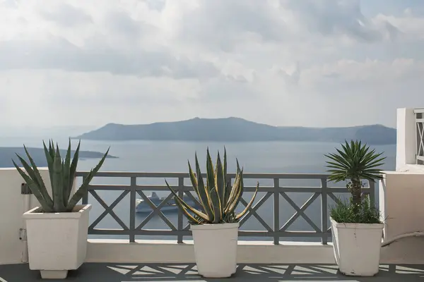 Вид Море Санторіні Греція Рослини Кактусів Білих Горщиках — стокове фото