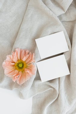Boş kağıt çarşaflar, buruşuk battaniyede pembe gelincik çiçeği. İşletme markası, sosyal medya şablonu. Düz yatış, üst görünüm