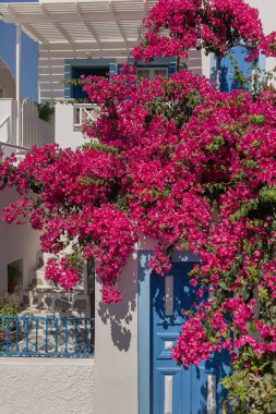 Yunanistan, Oia, Santorini 'deki eski renkli kapılar ve kırmızı çiçekler. Klasik kapı aralığı. Geleneksel Avrupa, Yunan mimarisi. Yaz seyahati