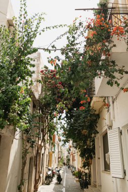 Yunanistan 'ın Girit kentindeki eski ortaçağ tarihi binaları ve çiçekleriyle sokak manzarası. Geleneksel Avrupa, Yunan mimarisi. Yaz seyahati