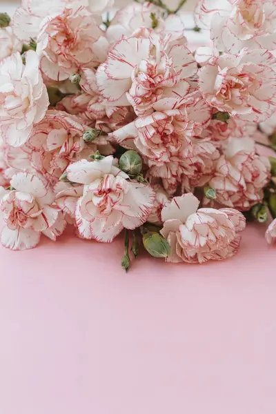 Красивий Букет Рожевих Гвоздик Рожевому Столі Естетична Квіткова Композиція Простором Ліцензійні Стокові Зображення