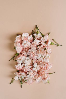 Pastel pembe arka planda pembe karanfil çiçeklerinin kare sınırı. Üst manzara çok az çiçek deseni var. Sevgililer Günü, Anneler Günü konsepti.