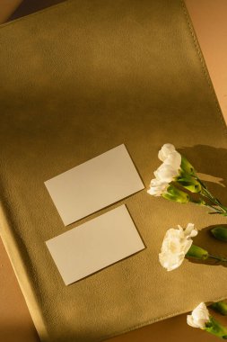 Boş kağıt kağıtlar, masasında karanfil çiçekleri ve estetik güneş ışığı gölgesi silueti. Lüks sosyal medya, kopyalama alanı olan web markalaşma şablonu, kırpma yolu