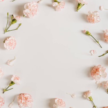 Minimum çiçek kompozisyonu yatıyordu. Beyaz arka planda pembe karanfil çiçekleri. Yaz, bahar konsepti. Boşluğu kopyala, üst görünüm