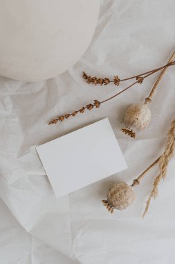 Düz bir kart kağıdı, kurumuş haşhaş sapı, beyaz buruşuk kumaş üzerinde kil kavanozu. Üst görünüm estetiği boş kopya alanı ile modellenir