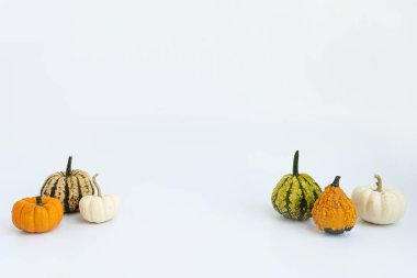 Beyaz arka planda güzel dekoratif balkabakları. Sonbahar mevsimi konsepti
