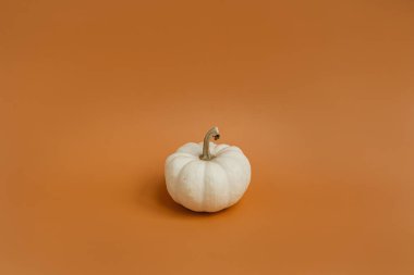 Zencefilli turuncu arka planda güzel bir balkabağı. Sonbahar mevsimi konsepti