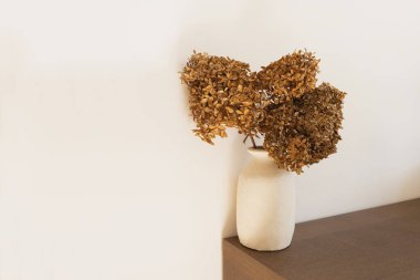 Kil vazoda kuru bronz ortanca çiçeği buketi. Minimum modern iç dekorasyon konsepti. Çiçek bileşimi