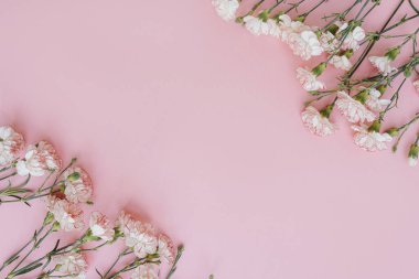 Minimum çiçekli konsept. Pembe arka planda pembe karanfil çiçekleri ve fotokopi alanı. Yaratıcı düğün davetiyesi şablonu. Düz yatış, üst görünüm