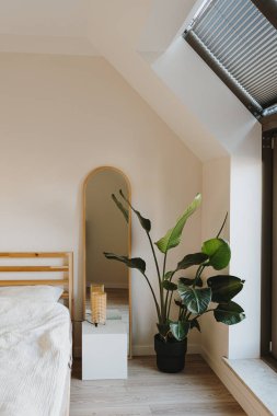 Modern ev dekorasyonu konsepti. Tropik bitki, pencere, ayna, beyaz çarşaflı yatak. Minimum rahat oturma odası