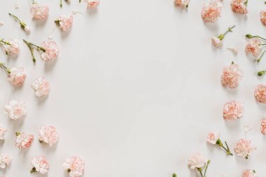 Beyaz arkaplandaki pembe karanfil çiçeklerinden yapılmış çerçeve ve boş kopya alanı. Zarif bir kartpostal, sosyal medya arkaplanı. Düz konum, üst görünüm çiçek şablonu