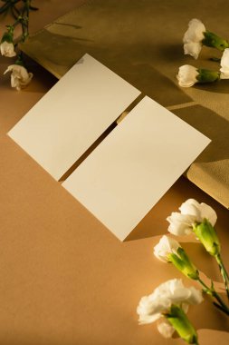 Boş kağıt kağıtlar, masasında karanfil çiçekleri ve estetik güneş ışığı gölgesi silueti. Lüks sosyal medya, kopyalama alanı olan web markalaşma şablonu, kırpma yolu