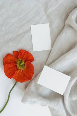 Boş kağıt çarşaflar, buruşuk battaniyede kırmızı haşhaş çiçeği. İşletme markası, sosyal medya şablonu. Düz yatış, üst görünüm