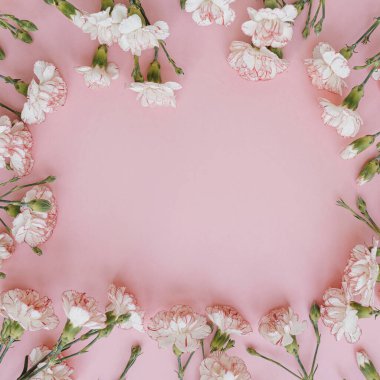 Minimum çiçek kompozisyonu yatıyordu. Pastel pembe arka planda pembe karanfil çiçekleri. Yaz, bahar konsepti. Boşluğu kopyala, üst görünüm