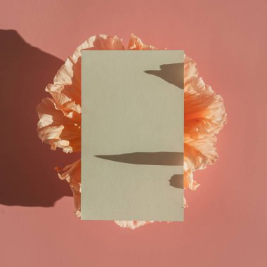 Fotokopi alanı ve pembe arka planda gelincik çiçeği tomurcuğu olan boş bir kağıt kağıdı. Estetik güneş ışığı gölgeleri. En düşük ticari marka şablonu