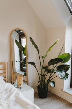 Modern İskandinav ev iç tasarımı. Rahat yataklı yatak odası, tropikal palmiye bitkisi, ayna, lamba, geniş pencere. Kira konsepti için şık bir daire.