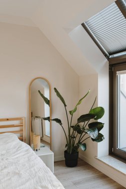 Modern ev dekorasyonu konsepti. Tropik bitki, pencere, ayna, beyaz çarşaflı yatak. Minimum rahat oturma odası