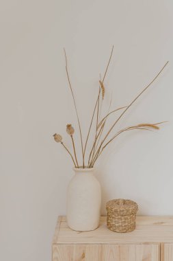 Parlak şık modern oturma odası iç tasarım konsepti. Kurumuş çimenler, kil çömlek içinde haşhaş, beyaz duvarda rattan tabut. Estetik nötr bej iç dekorasyon ayrıntıları
