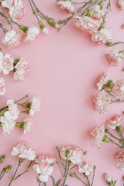 Pastel pembe arkaplandaki pembe karanfil çiçeklerinden yapılmış bir çerçeve ve boş fotokopi alanı. Zarif bir kartpostal, sosyal medya arkaplanı. Düz konum, üst görünüm çiçek şablonu