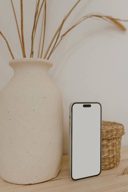 Mobil telefon ekranı, boş fotokopi alanı, kurumuş çimenli kil saksı, rattan tabut. Parlak estetik sosyal medya markası, çevrimiçi alışveriş şablonu