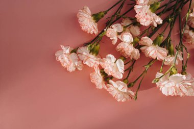 Pembe karanfil desenli çiçek buketi. Pastel pembe arka planda. Estetik güneş ışığı gölgeleri var. Fotokopi alanı olan üst manzara çiçek kompozisyonu. Sevgililer Günü, Anneler Günü konsepti.