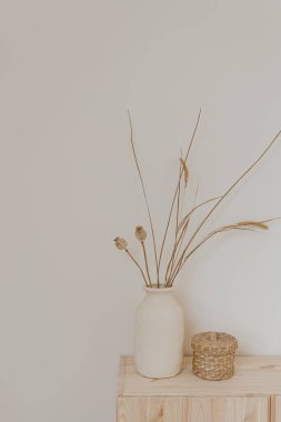 Estetik modern minimal ev dekorasyonu. Kil sürahide kurumuş çimen, beyaz duvarın üzerinde rattan tabut. Tarafsız bej rengi ev dekorasyonu kavramı