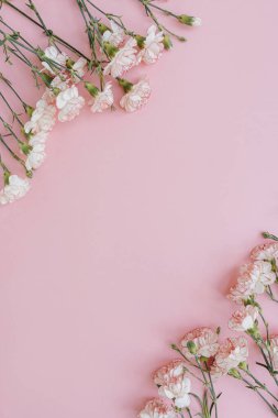 Pastel pembe arkaplandaki pembe karanfil çiçeklerinden yapılmış bir çerçeve ve boş fotokopi alanı. Zarif bir kartpostal, sosyal medya arkaplanı. Düz konum, üst görünüm çiçek şablonu